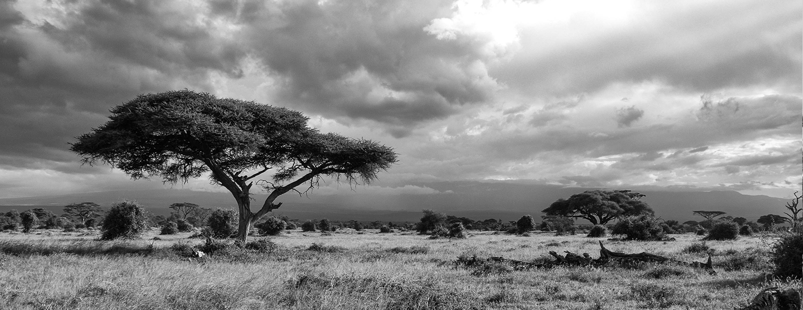 Shaun-Chapman-African-Tales-Slider-1